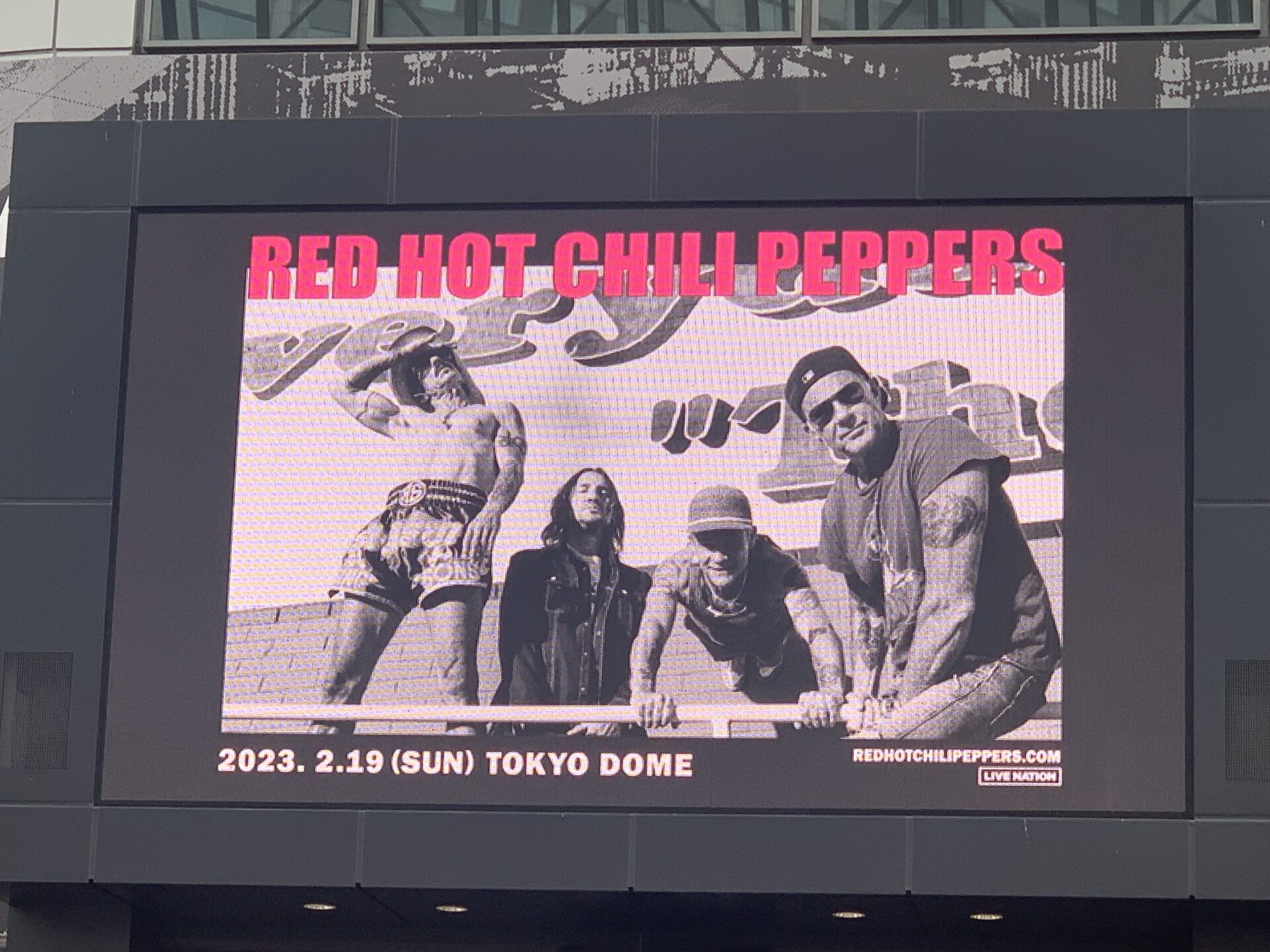 RED HOT CHILI PEPPERS レッチリ (5月来日 ) - Classic Asterisk パーカー・スウェット メンズ - トップス